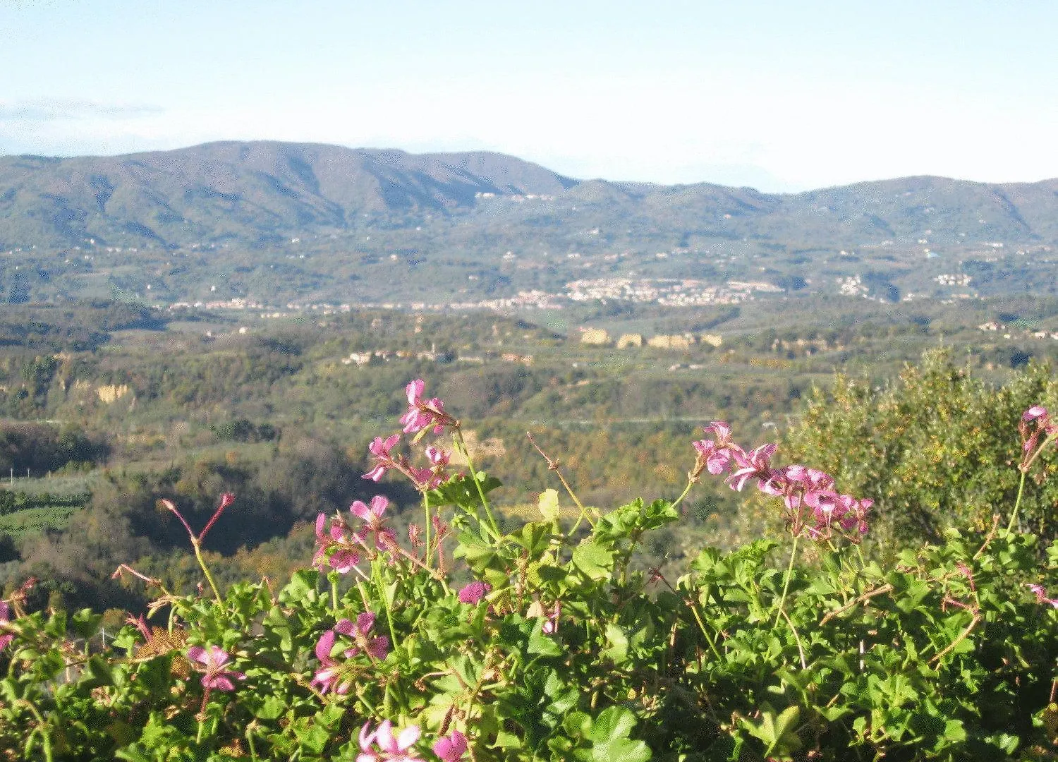 Agriturismo La Capitata Pian di Scò 0*,  Italien